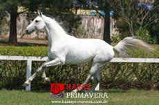 COOL DE LAUBRY Z — 2