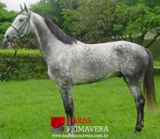 COOL DE LAUBRY Z — 4