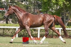 QUAT DE LONGPRE — 2