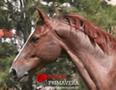 QUAT DE LONGPRE — 3