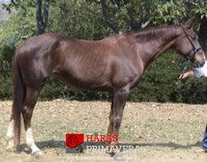 ADELAIDE DE LAUBRY — 3