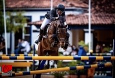 DAUGHTER OF COOL 2S GMS — 1