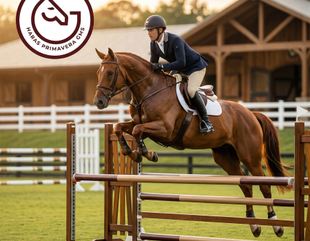 Gemini_Generated_Image_8ve16f8ve16f8ve1