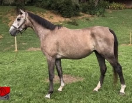 a38c9683-60e7-473a-9ad6-ea00628c91a9